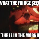 Smiling Titan | WHAT THE FRIDGE SEES; AT THREE IN THE MORNING | image tagged in smiling titan | made w/ Imgflip meme maker