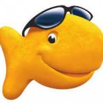 hi