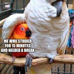 TRY 8 HOURS | LOFI GIRL; ME WHO STUDIED FOR 15 MINUTES AND NEEDED A BREAK | image tagged in big bird comforting small bird,lofi girl,music,studying,funny,school | made w/ Imgflip meme maker