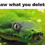 snake saw what you deleted
