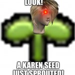 Karen seed template
