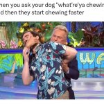 Funny dog meme