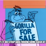 Throw some cash at magilla | SO BYE IT OR STRIP AND THROW SOME CASH AT ME | image tagged in gorilla for sale,funny memes | made w/ Imgflip meme maker