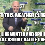 Idiot Weatherman | ISN'T THIS WEATHER CUTE . . . ? MEMEs by Dan Campbell; IT'S LIKE WINTER AND SPRING ARE IN A CUSTODY BATTLE OVER US | image tagged in idiot weatherman | made w/ Imgflip meme maker