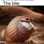 fax | *me having a good snack at school*; The bite:; My friend: just one bite pls | image tagged in snake eating egg | made w/ Imgflip meme maker