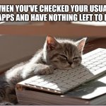 cat | WHEN YOU'VE CHECKED YOUR USUAL 5 APPS AND HAVE NOTHING LEFT TO DO | image tagged in bored keyboard cat | made w/ Imgflip meme maker