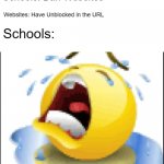 all the time | Schools: Ban Websites; Websites: Have Unblocked in the URL; Schools: | image tagged in low quality crying emoji | made w/ Imgflip meme maker
