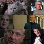 It’s all Blofeld