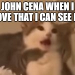Surprised Cat | JOHN CENA WHEN I PROVE THAT I CAN SEE HIM | image tagged in surprised cat | made w/ Imgflip meme maker