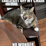 Single Karen | GET OFF MY TABLE GET OFF MY CHAIR; NO WONDER YOU’RE SINGLE KAREN | image tagged in murrie the cat | made w/ Imgflip meme maker