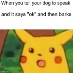 brain.exe has stopped working | When you tell your dog to speak and it says "ok" and then barks | image tagged in memes,surprised pikachu | made w/ Imgflip meme maker