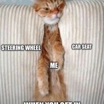 When You Get In Your Car | STEERING WHEEL; CAR SEAT; ME; WHEN YOU GET IN YOUR CAR AFTER SOMEONE SHORTER THAN YOU DRIVES IT | image tagged in standing room only,driving,short people,squeeze in,cars | made w/ Imgflip meme maker