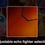 echo fighter selection