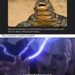 Lizard vs snake | The massive monitor lizard: Unlimited power! | image tagged in gifs,funny,memes,blank white template,unlimited power,he's too dangerous to be left alive | made w/ Imgflip video-to-gif maker