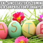 Easter is coming soon | CHUCK EXE: SINCE EASTER IS COMING SOON, WE’RE PLANNING A SURPRISE FOR FLORAKYU AND FLORA EXE! | image tagged in easter eggs | made w/ Imgflip meme maker