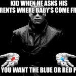 morpheus matrix blue pill red pill | KID WHEN HE ASKS HIS PARENTS WHERE BABY'S COME FROM; DO YOU WANT THE BLUE OR RED PILL | image tagged in morpheus matrix blue pill red pill | made w/ Imgflip meme maker