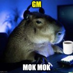gamer capybara | GM; MOK MOK | image tagged in gamer capybara | made w/ Imgflip meme maker