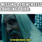 So you have chosen death | ME MISSING A FRENCH LESSON
THE DUOLINGO BIRD:; SO YOU HAVE CHOSEN... DEATH | image tagged in so you have chosen death | made w/ Imgflip meme maker