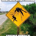 Meanwhile in Florida | MEANWHILE, SOMEWHERE IN FLORIDA; ANOTHER HUMAN IS ABDUCTED BY MOSQUITOES | image tagged in meanwhile in florida | made w/ Imgflip meme maker