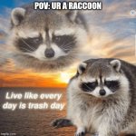 found this on the ineternt | POV: UR A RACCOON | image tagged in raccon | made w/ Imgflip meme maker