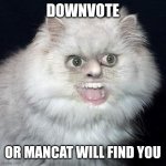 Mancat | DOWNVOTE; OR MANCAT WILL FIND YOU | image tagged in mancat | made w/ Imgflip meme maker