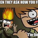 "I'm DEFINITELY fine!" | WHEN THEY ASK HOW YOU FEEL:; MY MENTAL STATE; "I'm fine!" | image tagged in matt on fire | made w/ Imgflip meme maker