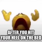 PAIN. | AFTER YOU HIT YOUR HEEL ON THE BED | image tagged in pain | made w/ Imgflip video-to-gif maker