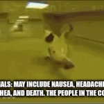 they find it funny | COMMERCIALS: MAY INCLUDE NAUSEA, HEADACHES, MUSCLE PAINS, DIARRHEA, AND DEATH. THE PEOPLE IN THE COMMERCIALS: | image tagged in gifs,funny | made w/ Imgflip video-to-gif maker