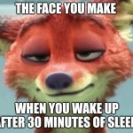 Groggy Fox | THE FACE YOU MAKE; WHEN YOU WAKE UP AFTER 30 MINUTES OF SLEEP | image tagged in nick wilde tired,zootopia,nick wilde,the face you make when,funny,memes | made w/ Imgflip meme maker