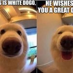 if your down, don't. dogo will make it better | THIS IS WHITE DOGO, HE WISHES YOU A GREAT DAY. | image tagged in wholesome doggo | made w/ Imgflip meme maker