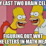 My Last Two Brain Cells | MY LAST TWO BRAIN CELLS; FIGURING OUT WHAT THE LETTERS IN MATH MEAN | image tagged in my last two brain cells | made w/ Imgflip meme maker