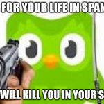 Doulingo holding a gun | BEG FOR YOUR LIFE IN SPANISH; OR I WILL KILL YOU IN YOUR SLEEP | image tagged in doulingo holding a gun | made w/ Imgflip meme maker