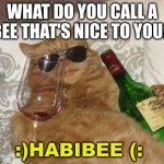 HABIBEE MY HABIBEE | WHAT DO YOU CALL A BEE THAT'S NICE TO YOU? :)HABIBEE (: | image tagged in funny cat birthday | made w/ Imgflip meme maker