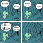 echo ¯\_(ツ)_/¯ | I like  tiktok tiktok sucks | image tagged in echo | made w/ Imgflip meme maker