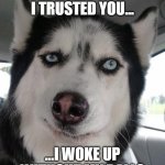 Sceptical Dog | THE LAST TIME I TRUSTED YOU... ...I WOKE UP WITHOUT MY BALLS | image tagged in sceptical dog | made w/ Imgflip meme maker