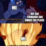 My cat be like | ME; MY CAT THINKING SHE OWNS THE PLACE; ME | image tagged in hades and meg,hercules hades,hercules | made w/ Imgflip meme maker