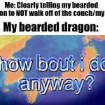 Does it all the time | Me: Clearly telling my bearded dragon to NOT walk off of the couch/my bed; My bearded dragon: | image tagged in how about i do it anyway,bearded dragon,funny | made w/ Imgflip meme maker