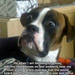 Scared dog | Me when I am listening to a song with my headphones on and suddenly hear my mom shout, before realizing that the sound I heard was from the song, and no one was home | image tagged in scared dog | made w/ Imgflip meme maker