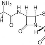 ampicilin