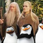 The Fellowshipt of the Penguins | image tagged in the fellowship of the ring,penguins of madagascar | made w/ Imgflip meme maker