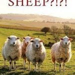 sheep meme