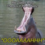 I hate when I hear them bellowing when I need to focus. | Me: *takes test*
The guy in the hallway:; *OOOAAAAHHH* | image tagged in hippo mouth open | made w/ Imgflip meme maker