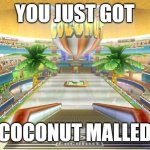 SEND THIS TO YOUR FRIENDS TO TOTALLY MALL THEM | YOU JUST GOT; COCONUT MALLED | image tagged in coconut mall | made w/ Imgflip meme maker