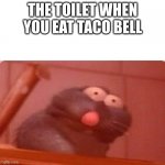 just another taco bell meme | THE TOILET WHEN YOU EAT TACO BELL | image tagged in ratatouille triggered remy,taco bell,toilet | made w/ Imgflip meme maker