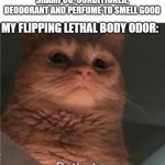 No matter what I do my body always smells bad DDDD: | ME: USES 3 BARS OF SOAP, SHAMPOO, CONDITIONER, DEODORANT AND PERFUME TO SMELL GOOD; MY FLIPPING LETHAL BODY ODOR: | image tagged in pathetic cat,smelly,memes,skinner pathetic,relatable memes,painful | made w/ Imgflip meme maker