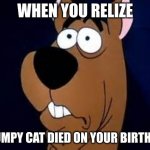 LOOK....... It's not my fault............ | WHEN YOU REALIZE; GRUMPY CAT DIED ON YOUR BIRTHDAY | image tagged in scooby doo surprised | made w/ Imgflip meme maker