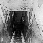 Scary basement