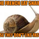 Fast Food | THE FRENCH EAT SNAILS; BECAUSE THEY DON'T LIKE FAST FOOD | image tagged in snail | made w/ Imgflip meme maker