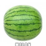 Watermelon | M E L O N | image tagged in watermelon | made w/ Imgflip meme maker