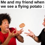 Well, how do you expect us to react ? | Me and my friend when we see a flying potato : | image tagged in pittsburgh steelers - hot potato pass play,memes,funny,potato,relatable,front page plz | made w/ Imgflip meme maker